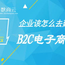 電子商務(wù) 數(shù)字時代的商業(yè)革命