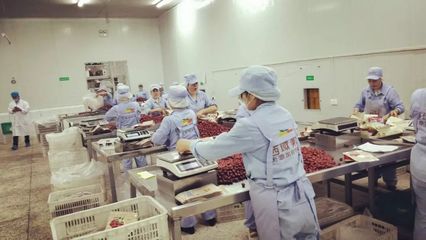 白馬情天池美——電商發(fā)展新篇章 左占高局長率團考察西域美農(nóng)公司