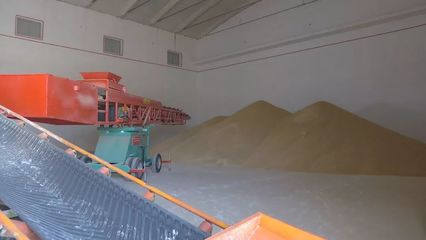 洋浦國際糧油物流加工產業園加快建設，賦能糧食加工產業升級